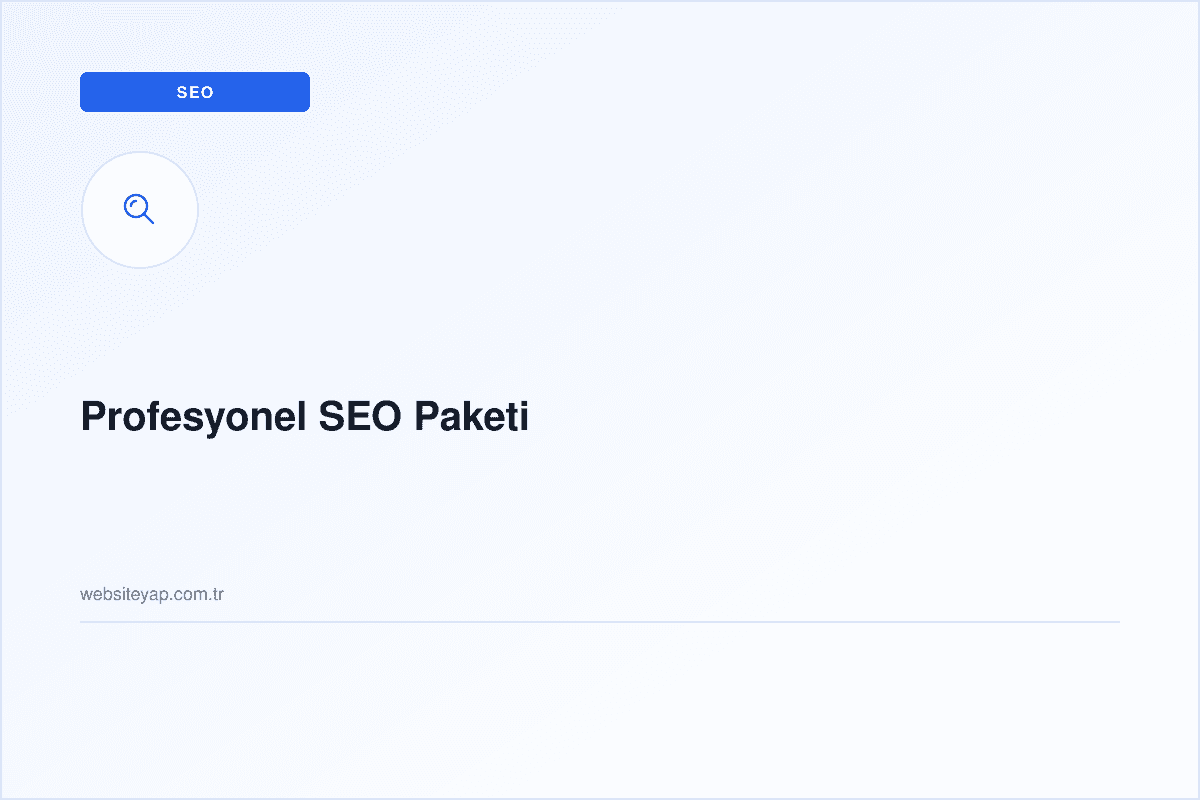Profesyonel SEO Paketi