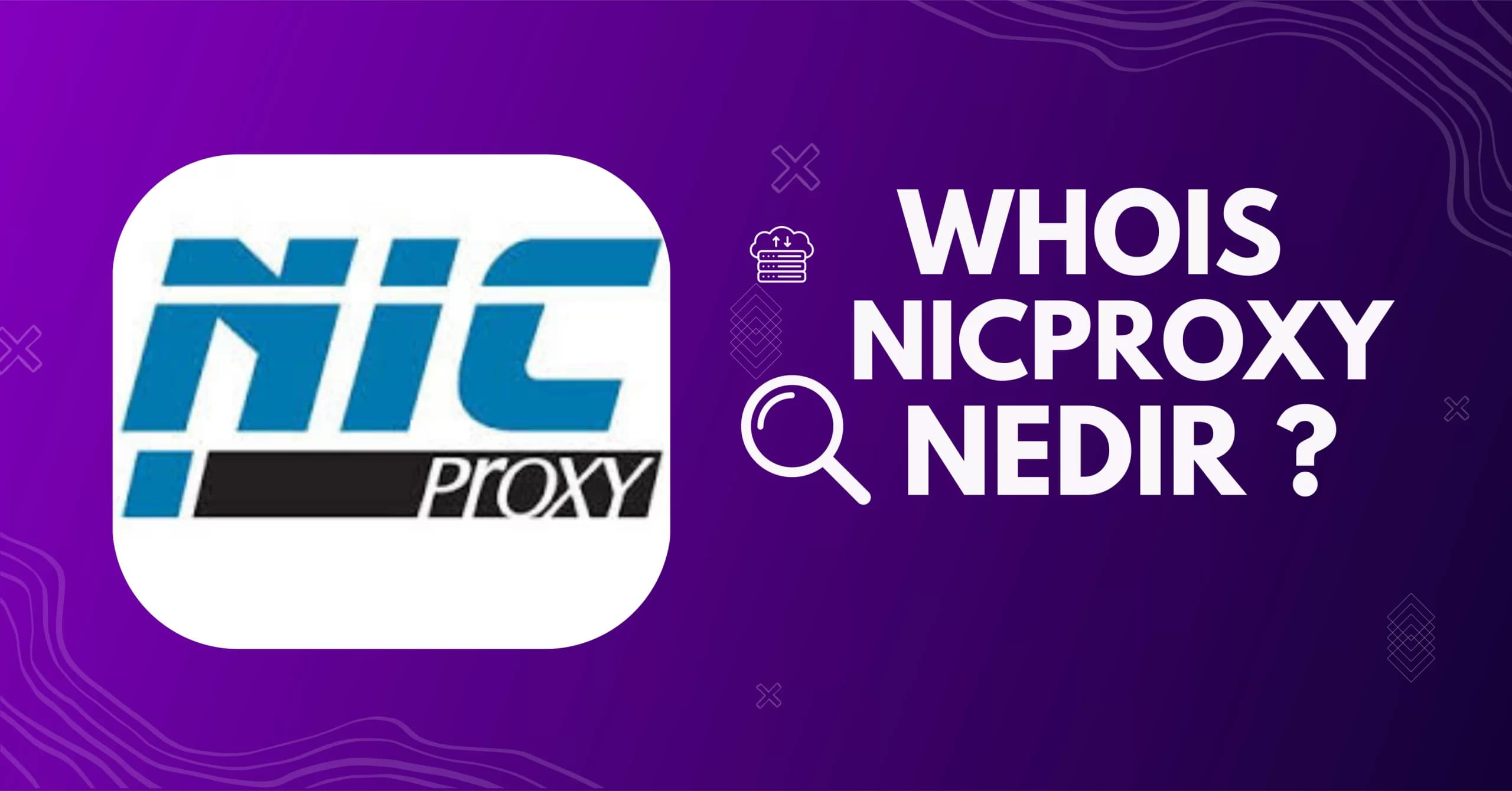 Whois NicProxy Nedir?